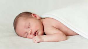 Organic Baby Mattresses: Combo 'First Nest for a Little Kiwi' Combo