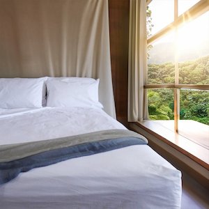 Organic Cotton Fitted Sheet ‘SLEEPFROG"