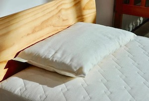 Organic Bedding For Children: INNATURE Organic Wool & Cotton Child’s Pillow