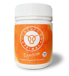 Dietary Supplements: IGNITION | Brain