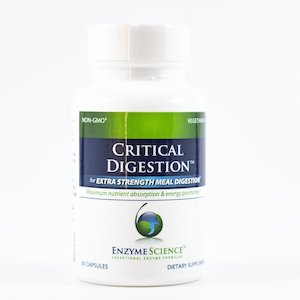 Enzyme Science: Critical Digestion