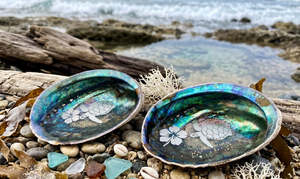 Adams Family Product: Paua Shell decor