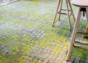 Products: Innocoat Moss Master - Innovative Coatings NZ