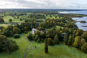 Self Drive: Live Like a Lord - Self Drive