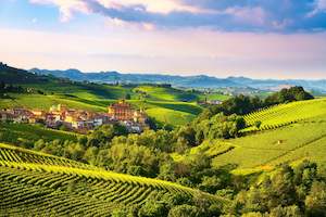 Self Drive: Vineyards and Royal Residences of Piedmont