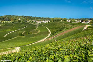 Cruise on the Marne Canal from Paris to Epernay (port-to-port cruise)