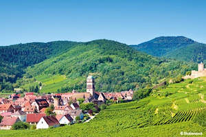 Ms Lafayette: Alsace: land of tradition and gastronomy (port-to-port cruise)