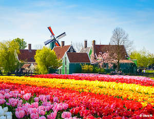Ms Lafayette: Springtime in Holland (port-to-port cruise)