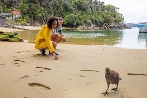 Explore Stewart Island