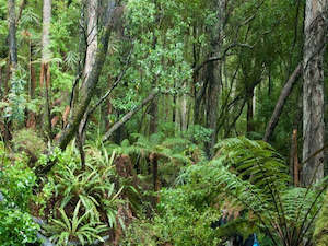 New Zealand: Visit Stewart Island