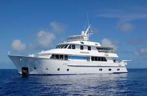 New Zealand: Islands of the Hauraki Gulf & Bay of Islands