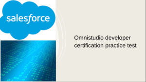 Omnistudio developer certification Practise test