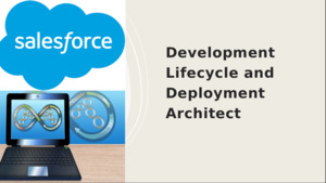 Development Lifecycle and Deployment Architect