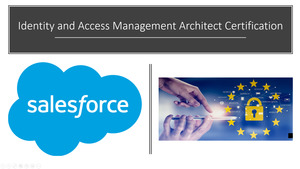 Identity and Access Management Architect