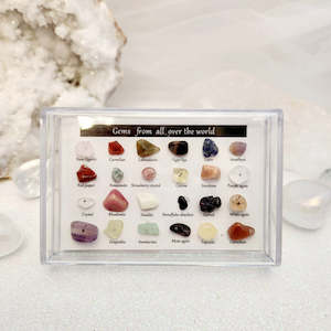 Tiny Raw Gems From all Over the World Display Case (approx. 9x6cm)