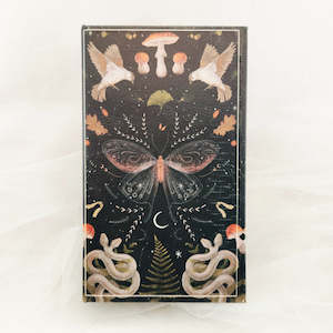 Moth Book Box (approx. 21x12.5x5cm)