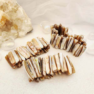 Jewellery Other Accessories: Shell Bracelet (assorted)