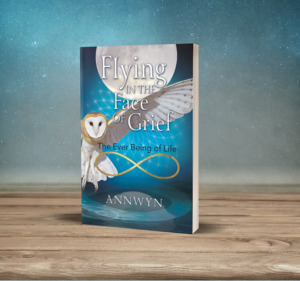 Books And Stuff: Flying in the Face of Grief (the ever being of life)