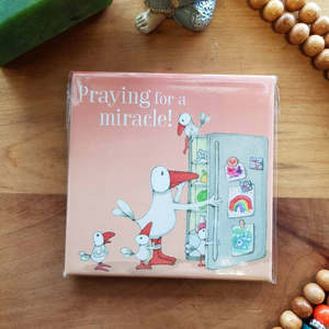 Praying for a Miracle Magnet