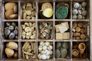 Natural Discovery Sorting Set