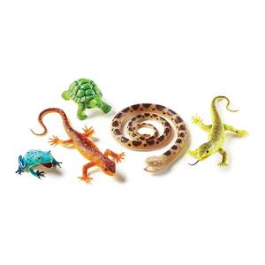 Jumbo Reptiles Amphibians