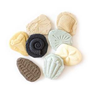 Lets Investigate Fossils Set