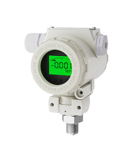 Instrumentation: Supmea PM356 Gauge/Absolute Pressure tx (Ranges cover -1 to 600 bar)
