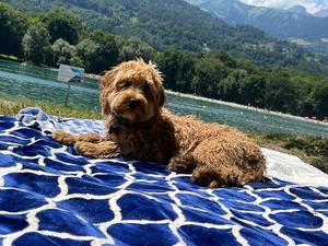 Blues: LEVANA 2X3m outdoor rug