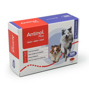 Best Sellers: Antinol® Plus For Dogs 120 Capsules