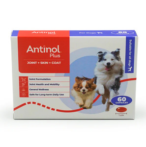 Best Sellers: Antinol® Plus For Dogs 60 Capsules