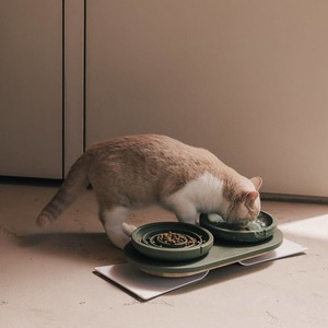 Best Sellers: PINO Pets Whisker Friendly Bowl - Marble