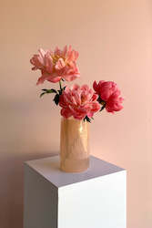 All: Peonies en masse