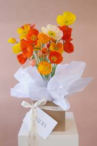 All: Poppies en masse