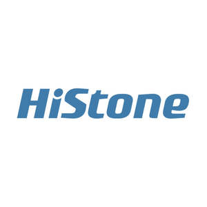 Histone HK568 10" Rear Display Non Touch