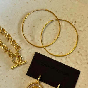 Queen Of The Foxes: Queen of the Foxes Earrings - Gold Hoop