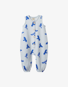 Nature Baby: Nature Baby August Suit Songbird