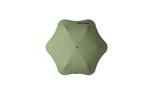 Lifestyle: Blunt Neo Sage Green
