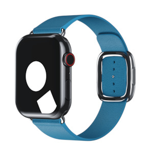 Modern Buckle For Apple Watch: Blue Jay Modern Buckle for Apple Watch