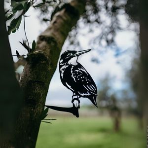 Arty Gifts: Kingfisher