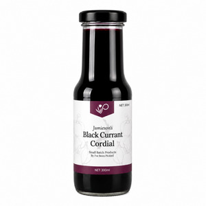 Products: Blackcurrant Cordial - I've Been Pickled