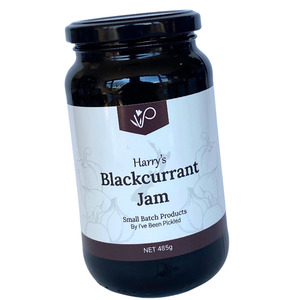 Blackcurrant Jam - I've Been Pickled