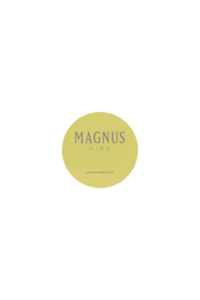 Magnus Pouring Disc 5-pack - MAGNUS HIRE