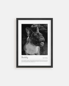 Poster: Vogue California - Custom Pet Poster