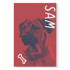 Vogue Duotone - Custom Pet Canvas