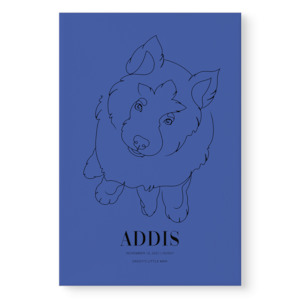 Canvas: Colorways - Custom Pet Canvas