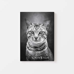 Pet Memorial Gifts: Cat Memorial Gift - Noir Canvas