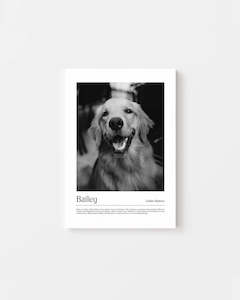 Vogue California - Custom Pet Canvas