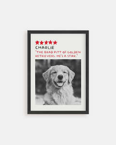 Vogue 5-Star Review - Custom Pet Poster