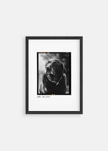 Unique Pet Memorial Ideas: Dog Memorial - Film Negative Pet Art Poster