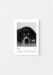 Personalized Dog Gifts: Unique Pet Memorial Ideas - California Custom Pet Canvas
